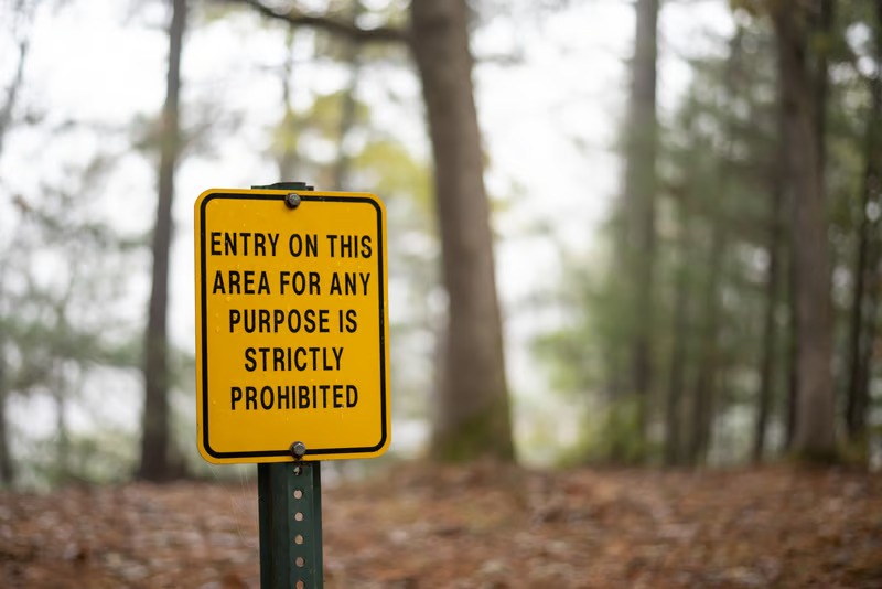 Why Do Landowners Choose Conservation Easements for Property Protection?