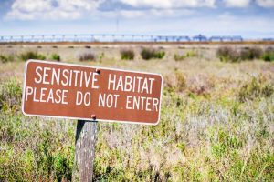 conservation easements